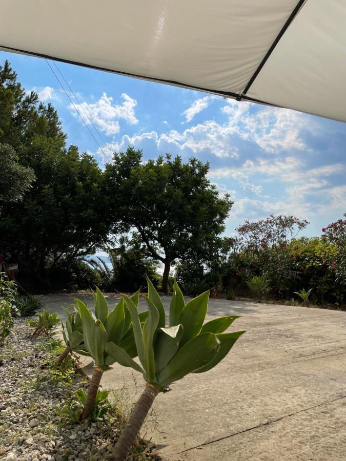 Villa Casa Vacanze Piedigrotta Pizzo  Exterior foto